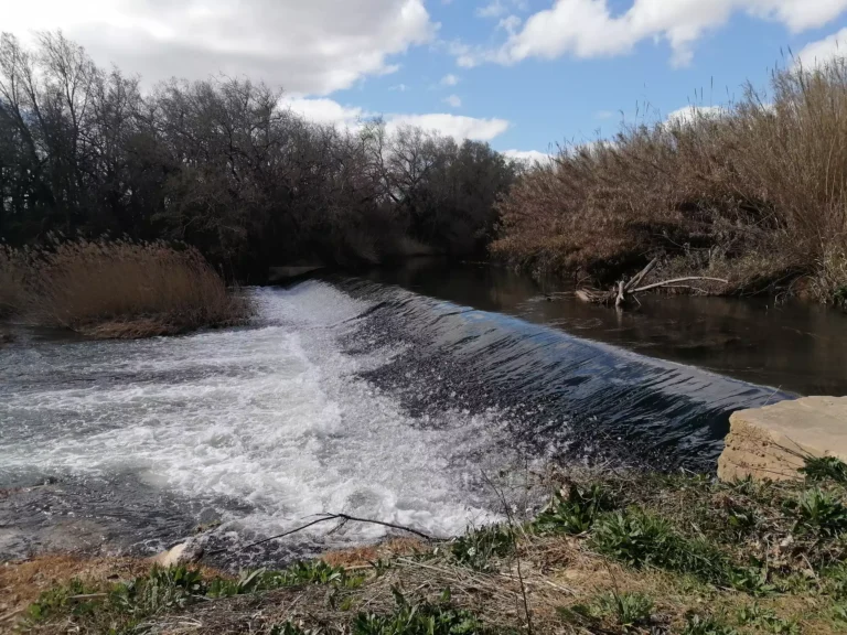 Acequia
